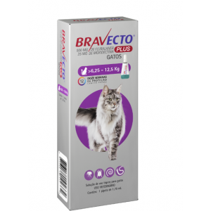 Antipulgas MSD Bravecto Transdermal Plus para Gatos de 6,25 a 12,5 Kg